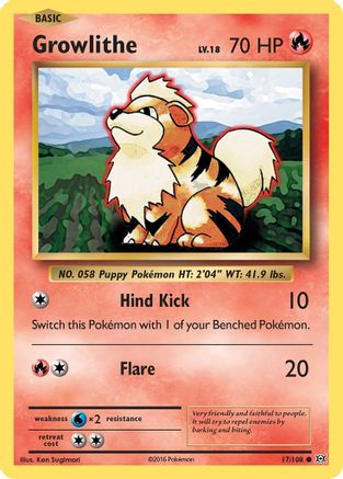 Growlithe 17/108 - XY  Evolutions Reverse Holofoil