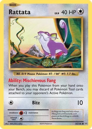 Rattata 66/108 - XY  Evolutions Reverse Holofoil