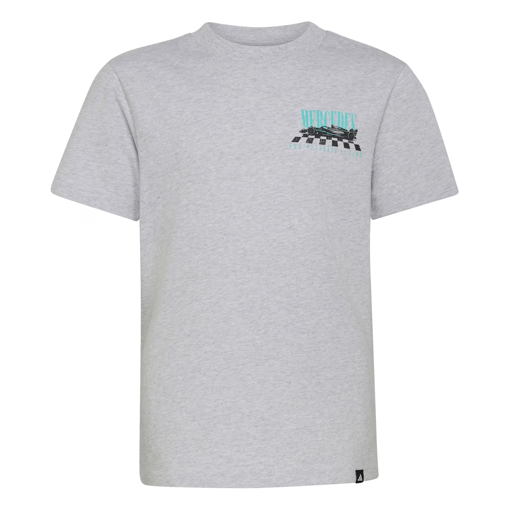 Mercedes - AMG Petronas Formula One Men's Car Graphic T-Shirt - Grey