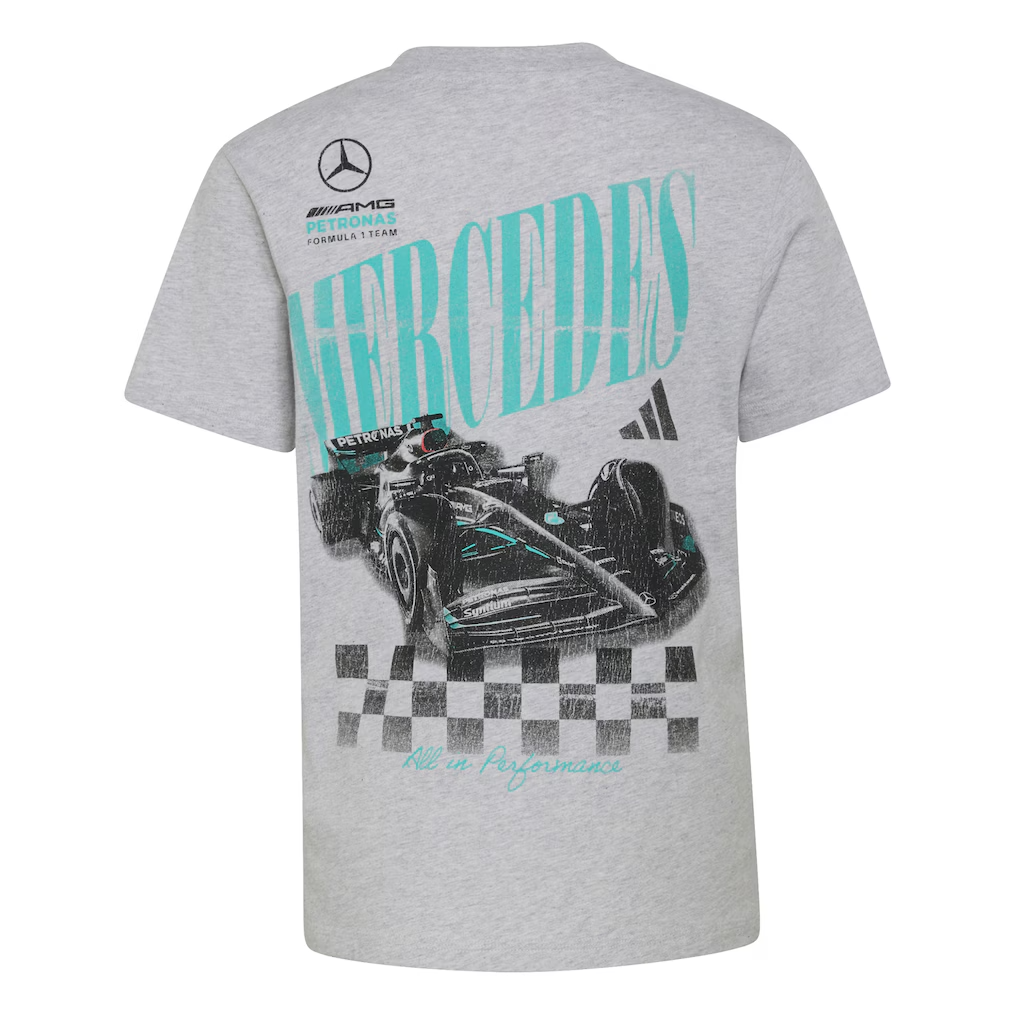 Mercedes - AMG Petronas Formula One Men's Car Graphic T-Shirt - Grey