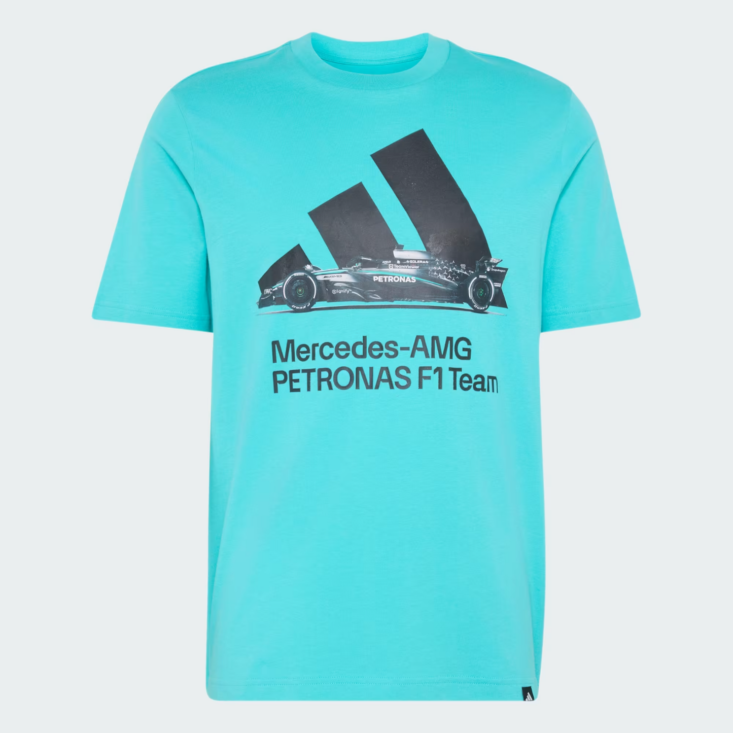Mercedes - AMG Petronas Formula One Men's Team Graphic T-Shirt Semi Mint Rush