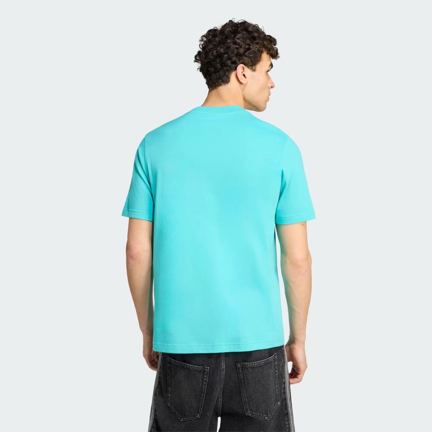 Mercedes - AMG Petronas Formula One Men's Team Graphic T-Shirt Semi Mint Rush