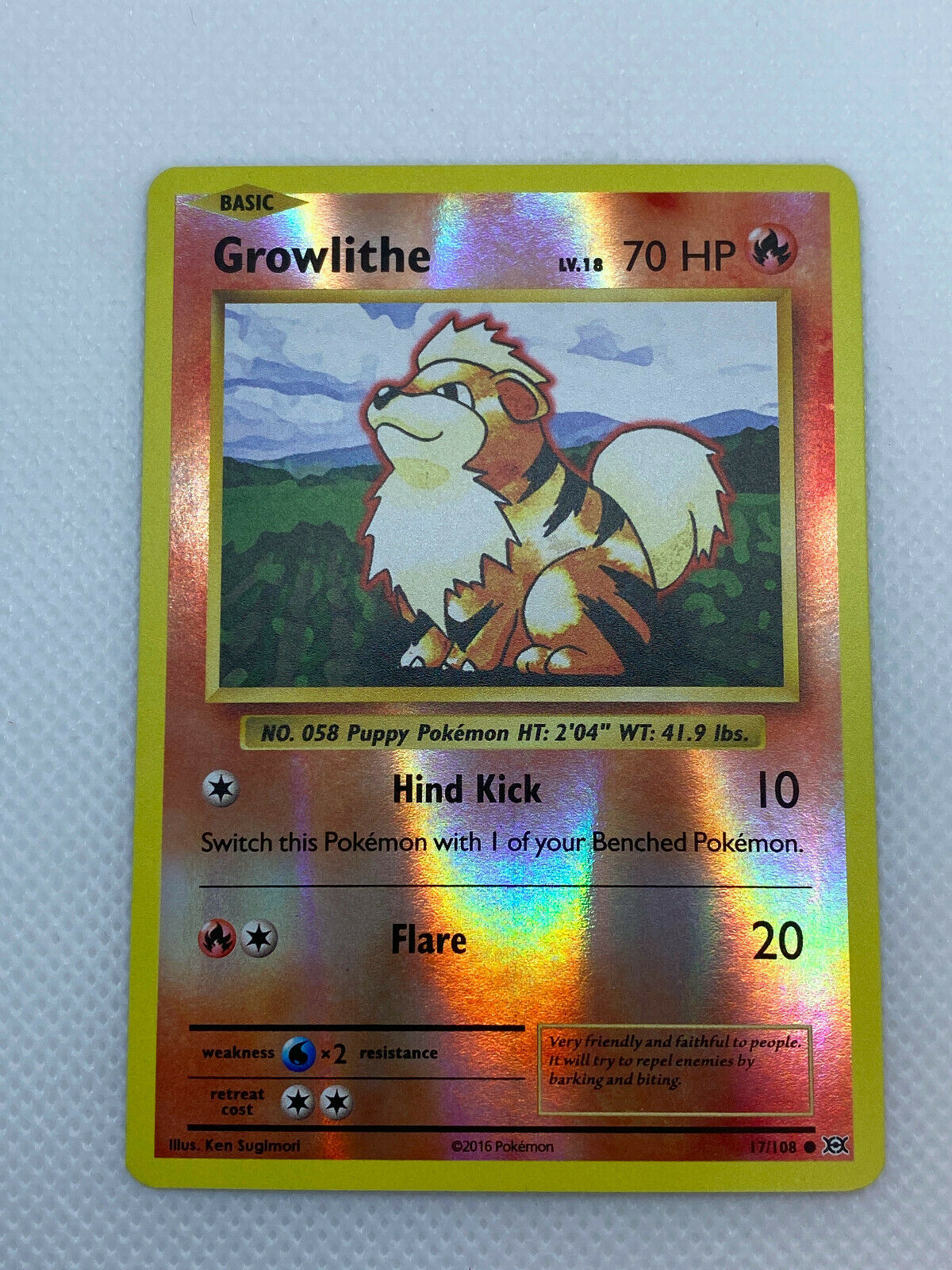 Pokémon XY Evolutions Growlithe Common REVERSE HOLO #17/108 NM